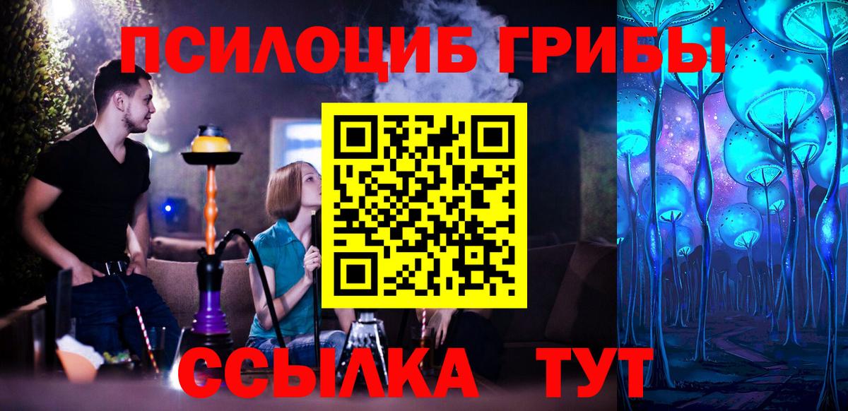 Галлюциногенные грибы MAGIC MUSHROOMS  Вход с VPN  Костомукша 